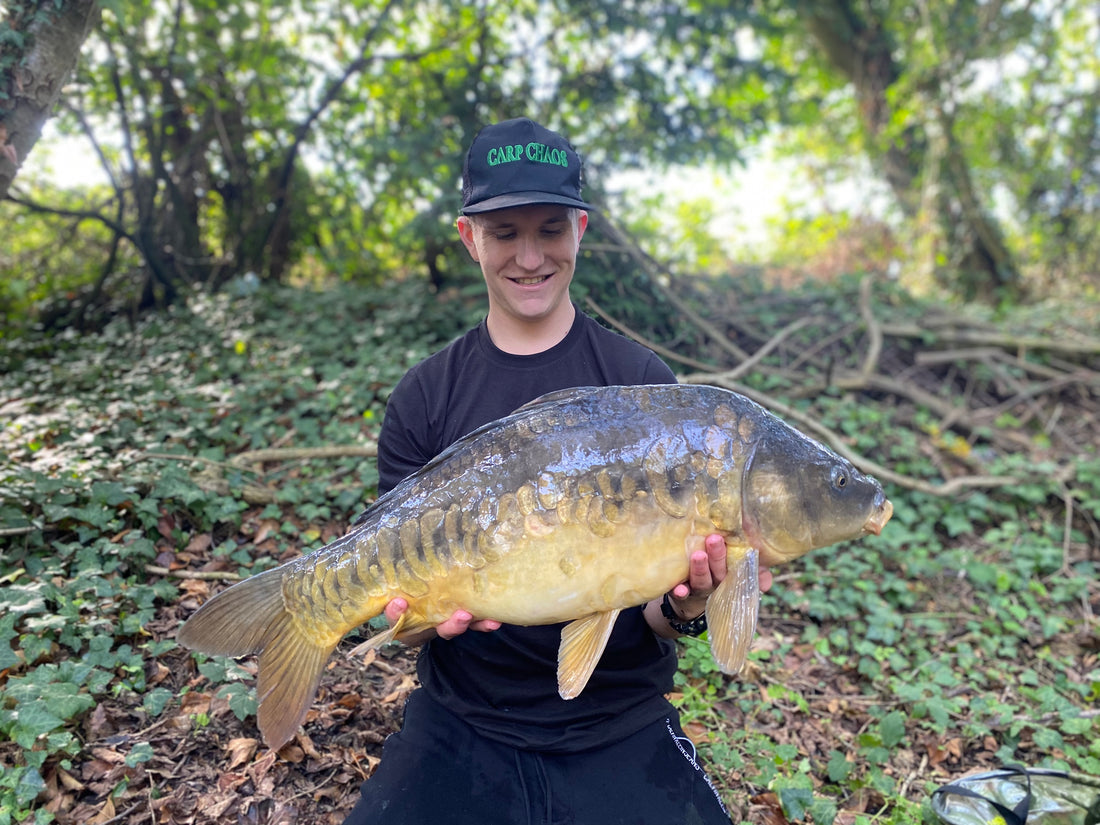 Baiting pole success!
